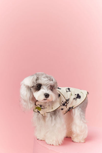 Chaleco sin Mangas Estilo Chino para Mascotas - Diseño Panda Teddy Schnauzer Bichón - Image 26