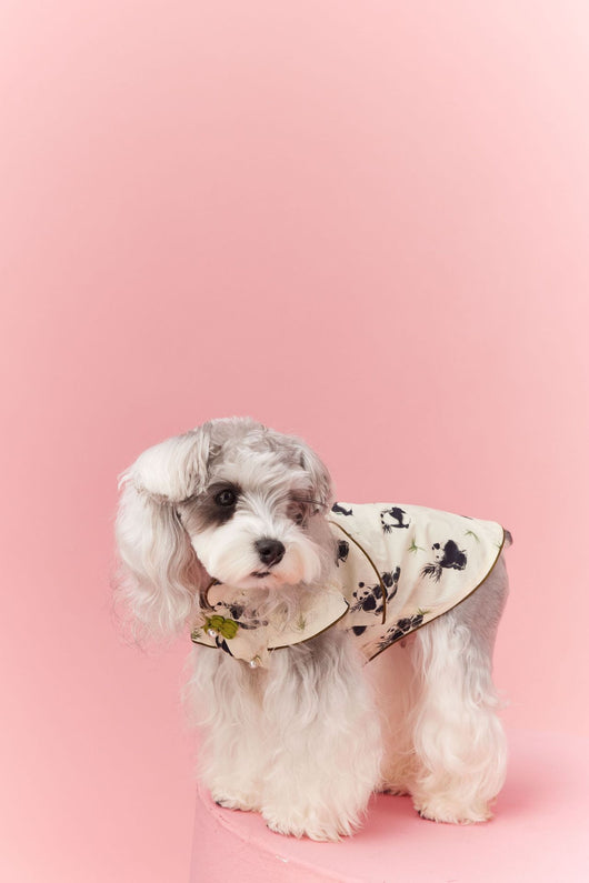 Chaleco sin Mangas Estilo Chino para Mascotas - Diseño Panda Teddy Schnauzer Bichón - Image 26