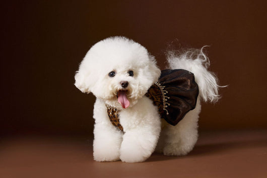 Vestido Otoñal Estampado Leopardo para Perros - Image 12