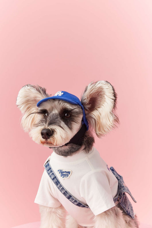 Ropa de Verano para Perros Pequeños - Teddy Schnauzer Bichón - Image 44
