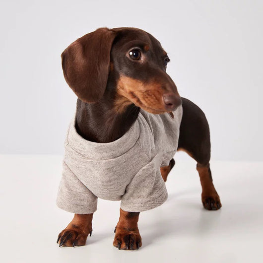 Abrigo Térmico para Mascotas - Perros y Gatos Resistente al Frío - Image 24