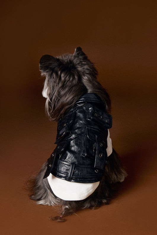 Chaleco de Cuero con Bolsillos de Carga - Diseño Industrial Estampado Mascotas - Image 25