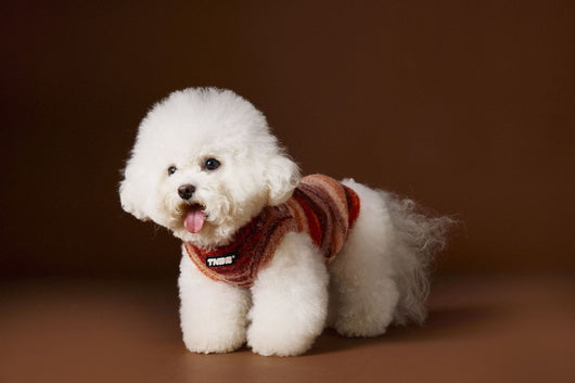 Chaleco Sin Mangas para Mascotas Schnauzer Bichón Rayas Arcoíris Variegadas - Image 12