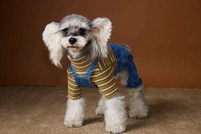 Ropa de Invierno para Perros Pequeños - Jeans Acolchado Térmico - Image 10