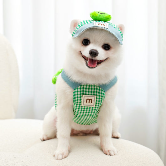 Arnés de Paseo para Gatos y Mascotas Pequeñas con Correa - Image 25