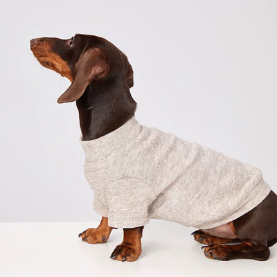 Abrigo Térmico para Mascotas - Perros y Gatos Resistente al Frío - Image 16