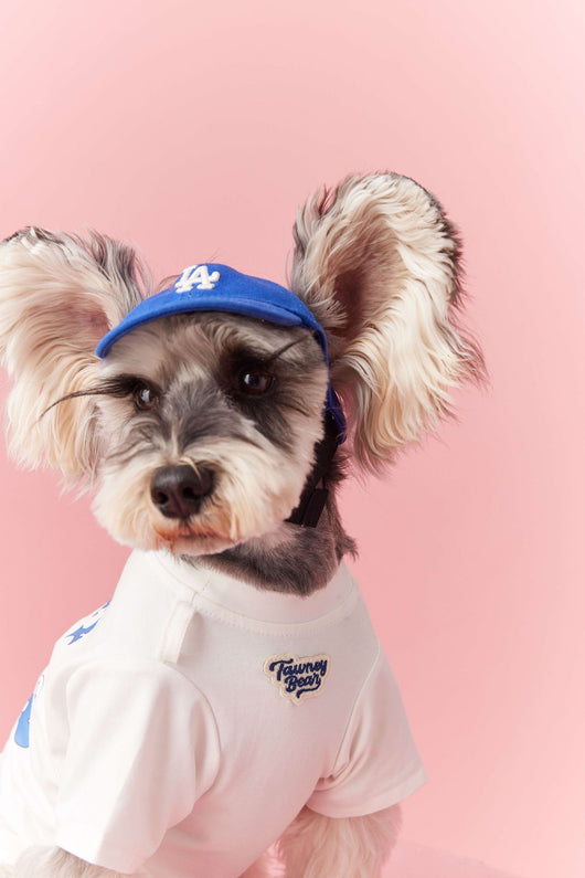 Ropa de Verano para Perros Pequeños - Teddy Schnauzer Bichón - Image 16