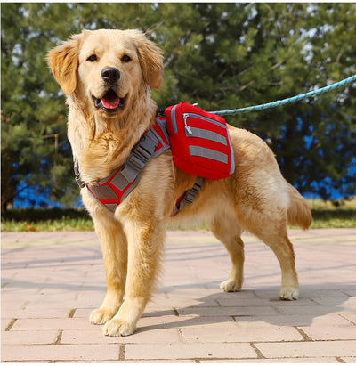 Pack de Snacks para Perros Medianos y Grandes - Variedad Completa - Image 11