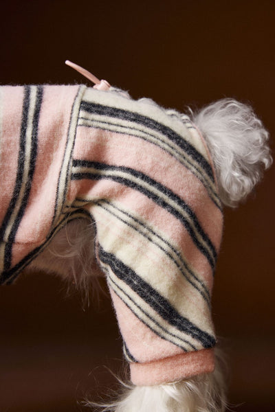 Suéter Térmico de Rayas para Perros Pequeños - Schnauzer, Bichón y Maltés - Image 10