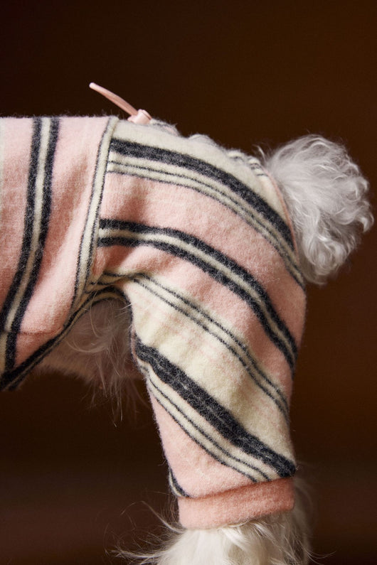 Suéter Térmico de Rayas para Perros Pequeños - Schnauzer, Bichón y Maltés - Image 10