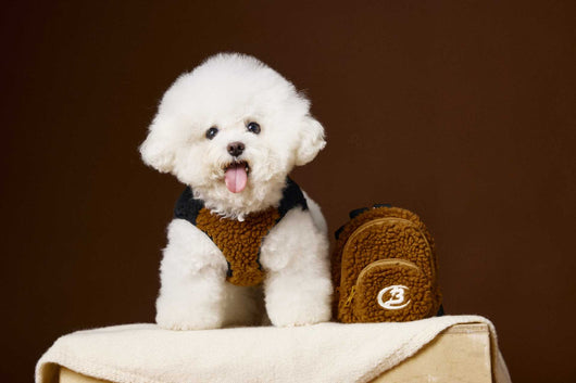 Chaleco de Terciopelo Acolchado Schnauzer Bichon sin Mangas - Image 26