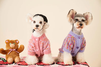 Cardigan Tejido para Perras Otoño e Invierno - Suéter Colorido - Image 28