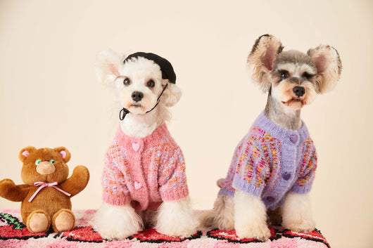 Cardigan Tejido para Perras Otoño e Invierno - Suéter Colorido - Image 28