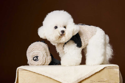 Chaleco de Terciopelo Acolchado Schnauzer Bichon sin Mangas - Image 56
