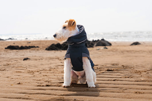 Abrigo Impermeable para Perros - Protección Contra Viento y Frío - Image 23