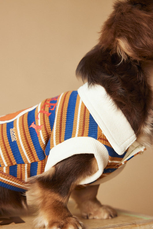 Polo Rayado para Perros Tony Bear - Ropa Cómoda y Elegante - Image 12