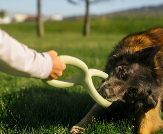 Light green rubber pet bite and pull toy shaped like a figure eight, with a ribbed texture on one end. - Image 22