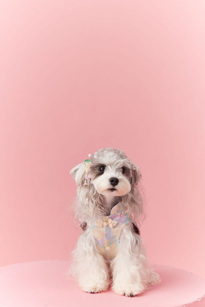 Chaleco Cheongsam Estilo Neo-Chino para Mascotas Pequeños - Schnauzer y Bichón - Image 46