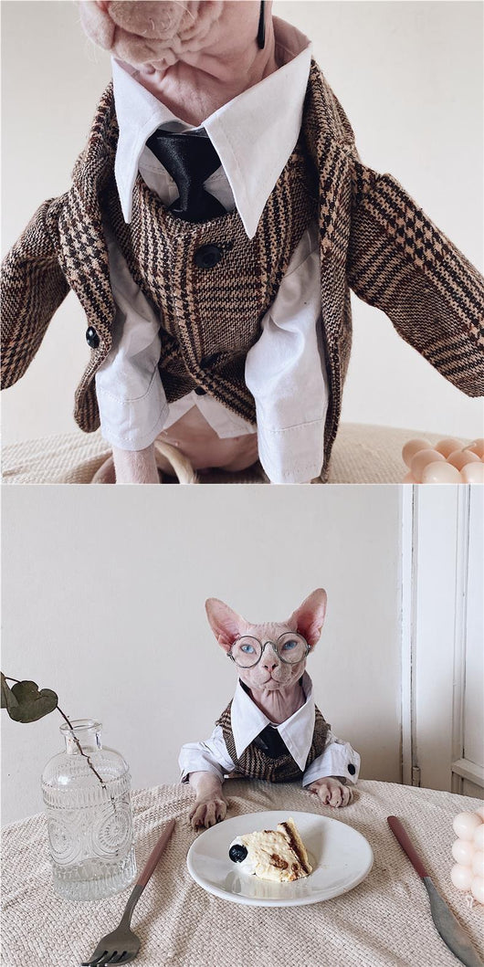 Traje Elegante para Gatos Sphynx y Razas sin Pelo - Image 19