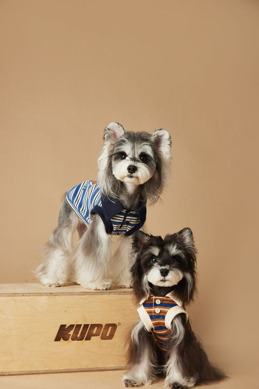 Polo Rayado para Perros Tony Bear - Ropa Cómoda y Elegante - Image 18