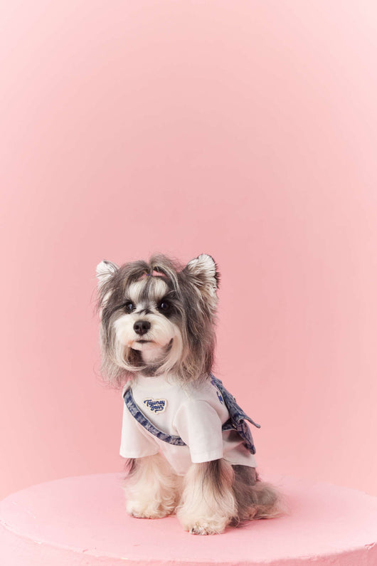 Ropa de Verano para Perros Pequeños - Teddy Schnauzer Bichón - Image 28