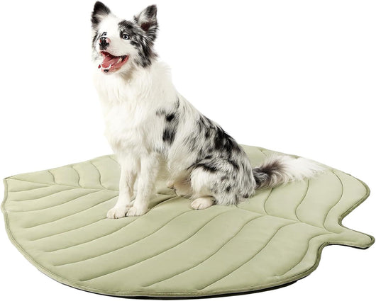 Tapete Refrescante para Gatos Diseño Hoja de Ginkgo - Image 11