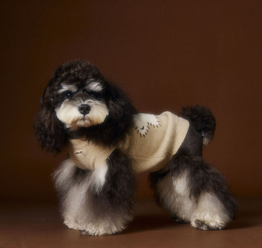 Chaleco Térmico sin Mangas para Perros Schnauzer, Bichón y Razas Pequeñas - Image 34