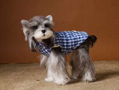 Chaleco Acolchado de Invierno para Perros - Image 24
