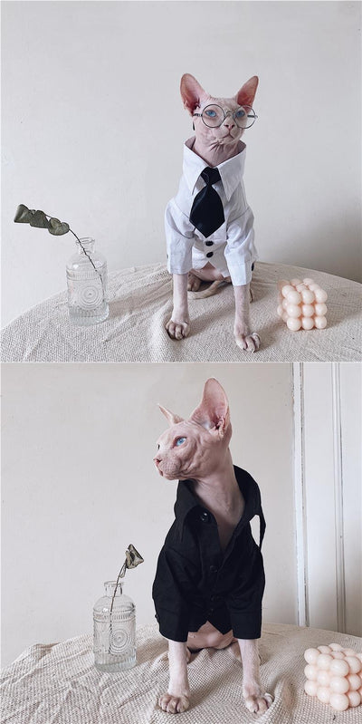 Traje Elegante para Gatos Sphynx y Razas sin Pelo - Image 21