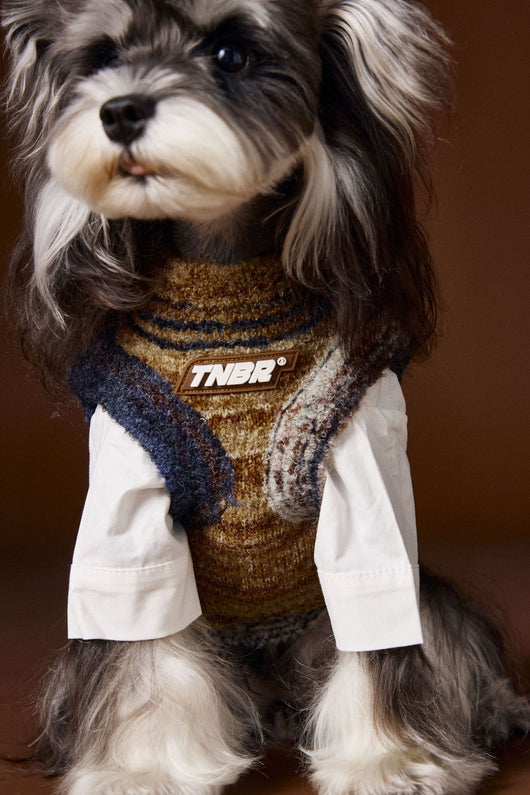 Chaleco Sin Mangas para Mascotas Schnauzer Bichón Rayas Arcoíris Variegadas - Image 36