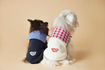 Chaleco Marinero sin Mangas para Mascotas - Schnauzer, Bichón, Yorkshire y Salchicha - Image 10