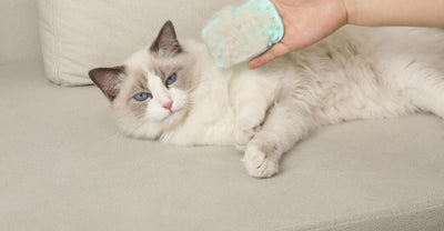 Poste Rascador Flotante para Gatos con Limpiador de Pelaje - Image 16