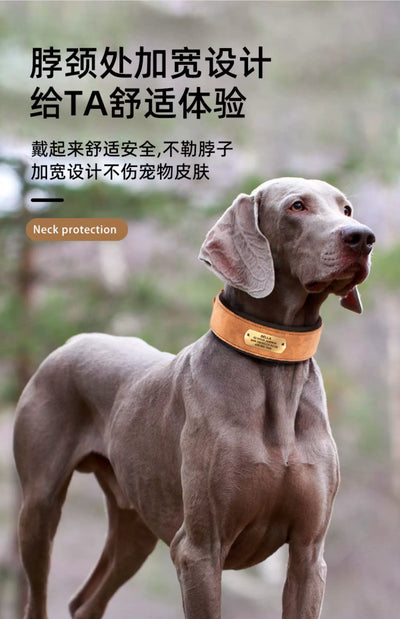 Collar Ancho para Perro con Letrero Antideslizante - Image 13