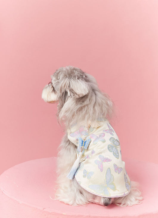Chaleco Cheongsam Estilo Neo-Chino para Mascotas Pequeños - Schnauzer y Bichón - Image 34