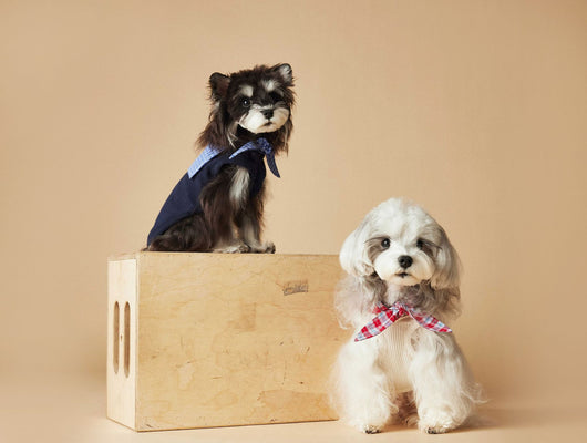 Chaleco Marinero sin Mangas para Mascotas - Schnauzer, Bichón, Yorkshire y Salchicha - Image 22