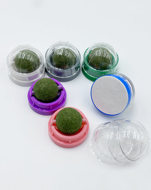 Pelota Interactiva Masticable para Gatos - Juguete Mordedor y Alivio del Estrés - Image 16