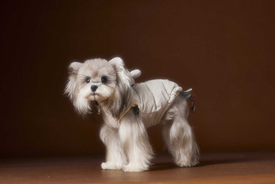 Chaleco Acolchado sin Mangas con Capucha - Diseño Adorable de Schnauzer y Bichón - Image 26