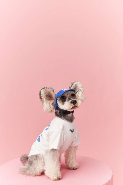 Ropa de Verano para Perros Pequeños - Teddy Schnauzer Bichón - Image 10