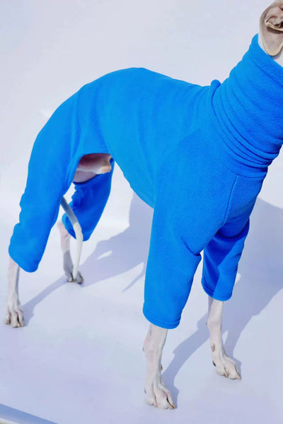 Abrigo Térmico Reversible para Doberman - Image 14