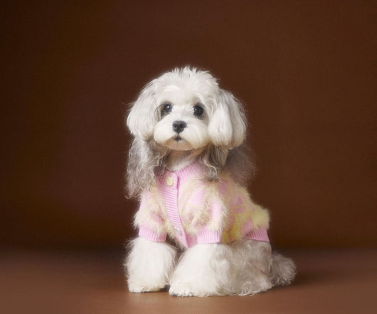 Suéter Cardigan Adorable para Perros Schnauzer y Bichón - Image 15