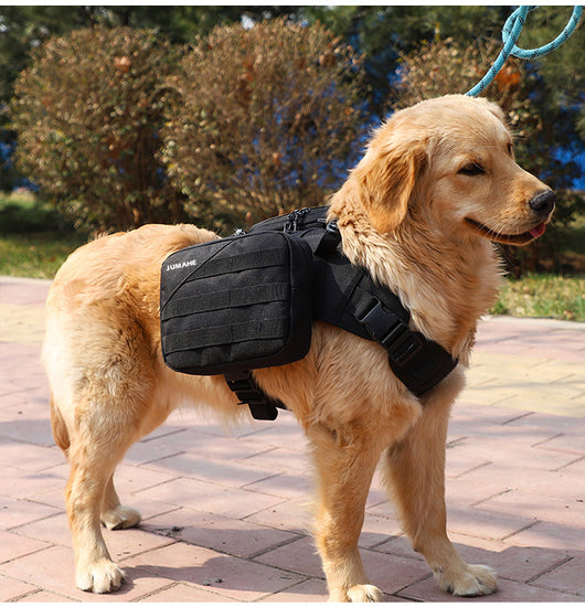 Pack de Snacks para Perros Medianos y Grandes - Variedad Completa - Image 23