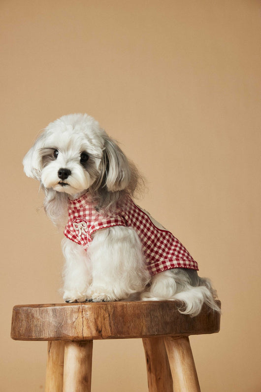 Chaleco Escocés sin Mangas para Perro Maltés y Schnauzer Teddy en Rojo - Image 21