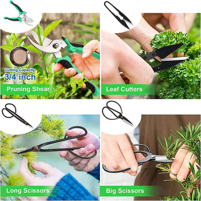 Kit Completo de 24 Herramientas para Bonsái - Modelado y Mantenimiento Profesional - Image 11