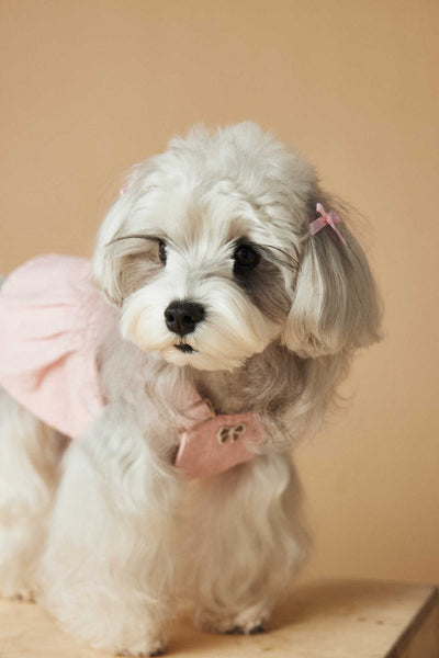 Falda Overol de Mezclilla Lavada para Perros - Image 10