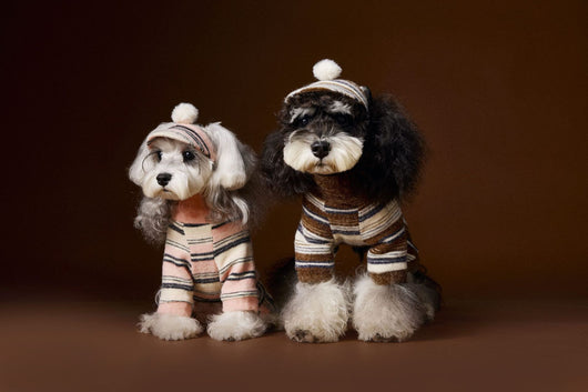 Gorro de Pelota Esponjosa a Rayas para Mascotas - Image 13