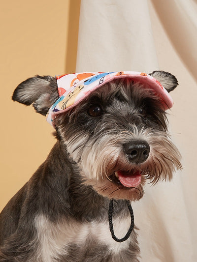 Gorra Deportiva para Mascotas con Protección Solar - Image 36