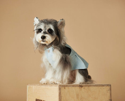 Falda Overol de Mezclilla Lavada para Perros - Image 30