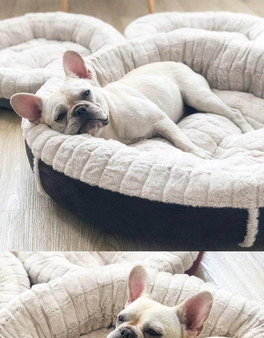 Cama Redonda Térmica para Perros y Gatos - Diseño Otoño Invierno - Image 8