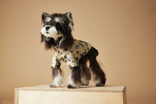 Playera Estampada con Razas de Perros - Dachshund, Schnauzer, Bichón y Maltés - Image 39