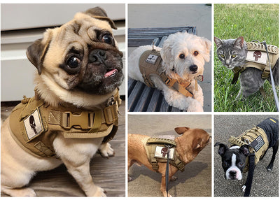 Black tactical pet harness made of Oxford cloth with an American flag patch, top handle, and quick-release buckles. - Image 25